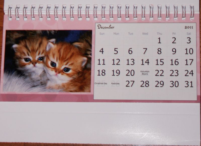 desk calendar.jpg